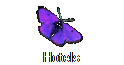 Hotels